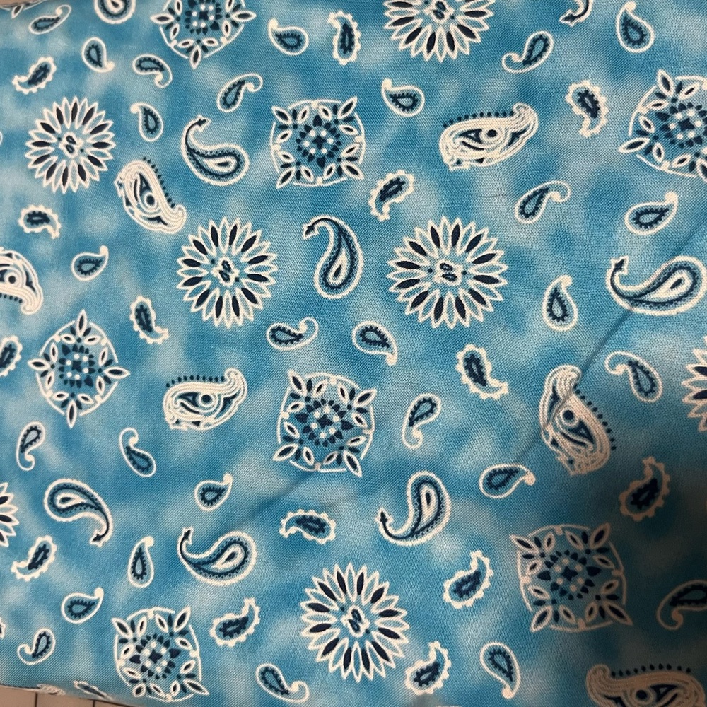 3 1/2 Yards Paisley blue cotton fabric New from Hancock fabrics high quality